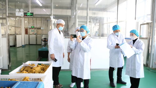 大連自貿片區推出食品生產加工“5G+AR”智慧監管新模式，賦能健康管理與咨詢