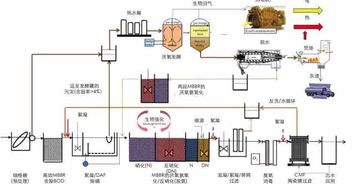中國未來污水處理廠技術路線圖 來自MBBR工藝發明人的前瞻建議