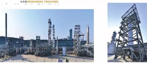 四川美豐一項關鍵化工工藝通過科技成果鑒定，引領行業(yè)綠色高效發(fā)展