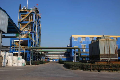 科技引領 創(chuàng)新驅動 以省第十五次黨代會精神為指引，推進化工技術升級與高質量發(fā)展